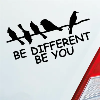 Produktbild von Auto Aufkleber Be different be you Schräger Vogel Birds 19x10 cm Schwarz Matt Sticker Heckscheibenaufkleber