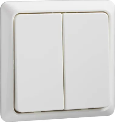 Immagine prodotto di Elso doppio pulsante rw 506394