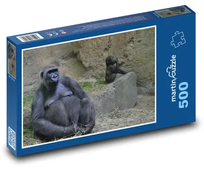 Obrázok produktu pre Puzzle 500 Gorila v zoo s mláďaťom - martinpuzzle