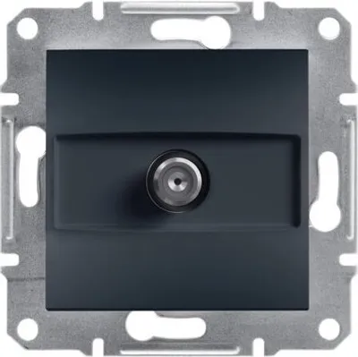 A close-up, front-facing view of a dark gray satellite (SAT) end socket, part of the Schneider Asfora range, mounted on a silver metal frame.