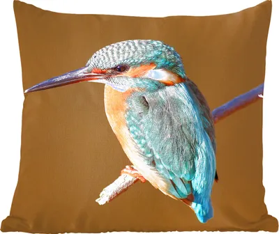 Produktbild von MuchoWow® Zierkissen Sofakissen Wohnzimmer Dekokissen 45x45 cm Eisvogel - Äste - Bunt - Schlafpolster - Polster für das Sofa