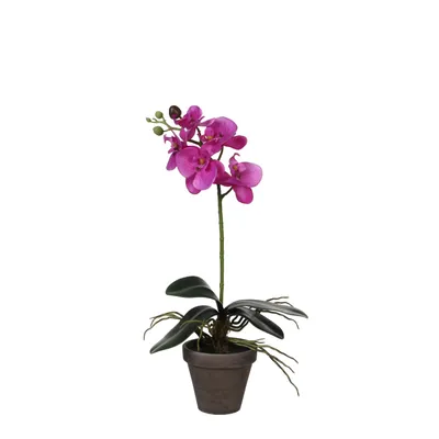Produktbild von Mica Decorations Phalaenopsis Kunstpflanze in Blumentopf - H48 x Ø13 cm - Violett