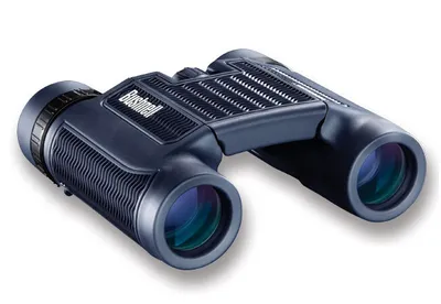 Produktbild von Bushnell Powerview 2, Dach, 10x, 2,5 cm, Mehrschichtig beschichtet (MC), Schwarz, 258 g
