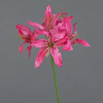 Produktbild von artplants.de Deko Gartenamaryllis KUSTANA, pink, 70cm, Ø20cm - Kunstblume Amaryllis