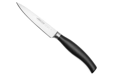 Produktbild von Arcos Schälmesser der Serie Clara mit 10 cm langer Klinge aus rostfreiem NITRUM® und Griff aus Polypropylen (PP).