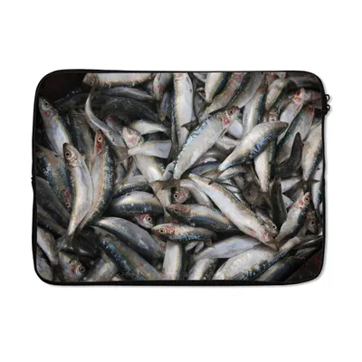 Produktbild von MuchoWow® Laptop Hülle 13 Zoll Stapel von Fisch im Libanon Laptoptasche - Laptophülle - Sleeve - Rundumschutz