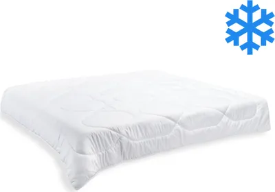 Image de Couverture thermique 200x200cm hiver 2400g (600g/m2)