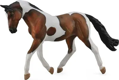 Immagine prodotto di COLLECTA Pinto Mare castagna - (XL)