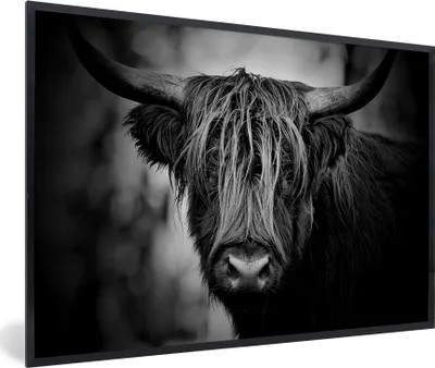 Produktbild von MuchoWow® Gerahmtes Poster Schottischer Hochländer - Licht - Porträt - Natur 90x60 cm - Poster mit Schwarzem Bilderrahmen Wandposter Rahmen Foto Bilder - Fotorahmen - Foto-Plakat