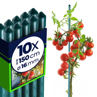 Immagine prodotto di KADAX Bastoni per piante 150 cm x 16 mm, set di 10 - Bastoni per tralicci in acciaio rivestito, supporti per piante e pomodori per il giardino, resistenti alle intemperie e stabili