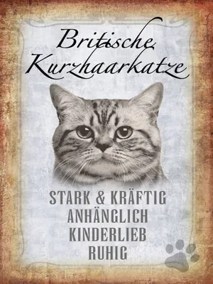 Produktbild von vianmo Holzschild 40x30 cm britische kurzhaarkatze