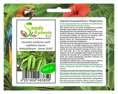 Zdjęcie produktu dla 5x Canavalia ensiformis biała fasola szparagowa pnąca ogrodowa - Nasiona ID287