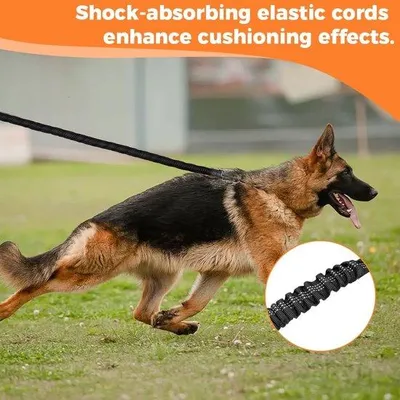 Image de Laisse pour chien réfléchissante et réglable
