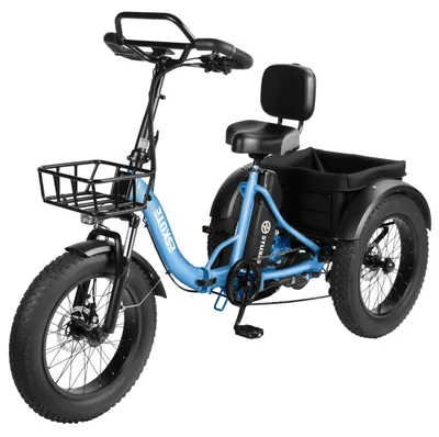 Image de ESKUTE T302 Pro Vélo électrique 250W Moteur 48V 20.8Ah Batterie 20" - Bleu