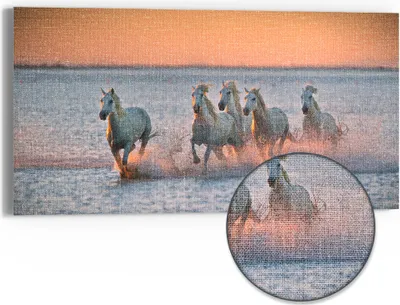 Produktbild von DEQORI Hybrid Leinwand Bild 60x30 cm 'Abendliche Freiheit' Wandbild Glas flach modern