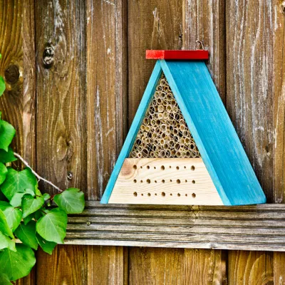 Obrázok produktu pre Windhager 06944, Včela samotárka, Wasp, Hanging, Modrá, Drevo, Drevo, Drevo, CE