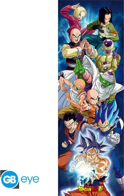 Image de Dragon Ball Super Poster Groupe piste longue 158 x 53 cm