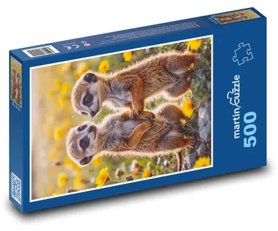 Obrázek produktu pro Puzzle 500 Surikaty v květech - martinpuzzle