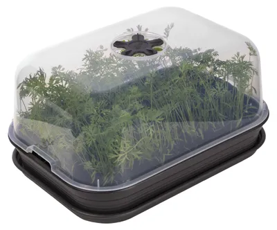 Produktbild von Elho Anzuchthaube transparent Gr. M