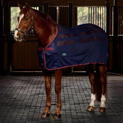 Image de Weatherbeeta Scrim Cooler Standard Neck - Taille 120