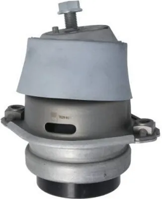 Obrázok produktu pre Motorový nosič REINHOCH RH11-3147