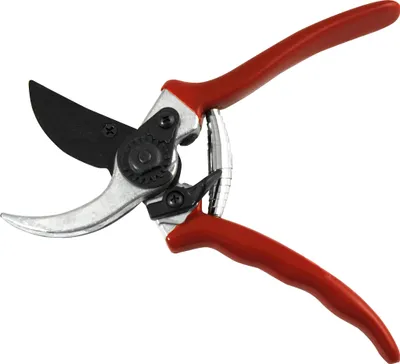 Produktbild von YERD B204 Profi Reb Garten Rosen Ernte Schere, Bypass Leseschere SK5 Stahlklinge