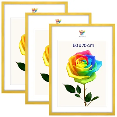 Obrázok produktu pre MG Design, sada 3 kusov rámov na obrazy, 50 x 70 cm – rámy na plagáty so žltým dreveným rámom a nárazuvzdorným akrylovým sklom, vhodné na zavesenie vertikálne aj horizontálne, s robustným systémom na upevnenie na stenu