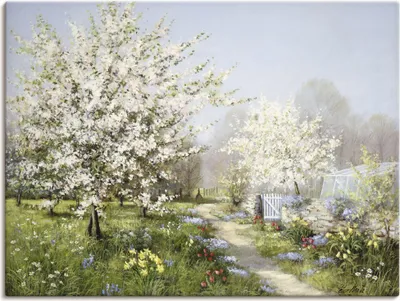 Produktbild von Peter Motz: Frühlingsblüten, Produkt:Leinwand, Größe:60x80 cm / Leinwand