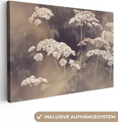 Produktbild von OneMillionCanvasses® - Leinwandbilder - 150x100 cm, Pflanze - Weiß - Natur - Blumen, Wandbilder Kunstdruck Wanddekoration - Foto auf Leinwand - Gemälde auf Holzrahmen