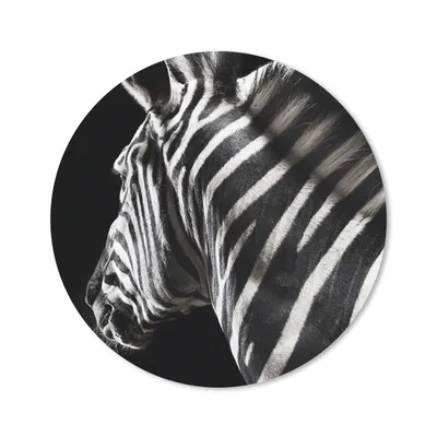 Produktbild von MuchoWow® Mauspad Mousepad Zebra - Tier - Schwarz - Porträt 40x40 cm - Mousepads - Maus Mat - Pad - Mausunterlage - Schreibtisch Accessoires