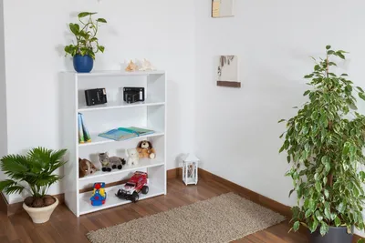 A white bookshelf filled with toys and plants in a room.