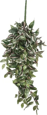 Zdjęcie produktu dla Sztuczna roślina wisząca Mica Decorations Tradescantia - dł. 15 x szer. 30 x wys. 80 cm - Zielona