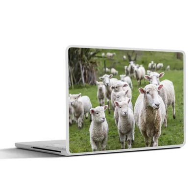 Produktbild von MuchoWow® Laptop Aufkleber Sticker Cover Schafe - Gras - Lamm 36.5x27.5 cm - Laptop-Sticker