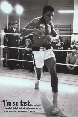 Produktbild von Ali, Muhammad - Training s/w - Sportposter 61x91,5 cm