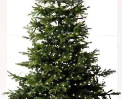 A close-up view of a green Christmas tree decorated with small white LED lights.