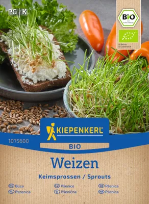 Produktbild von Kiepenkerl Keimsprossen-Saat Weizensamen Triticum aestivum