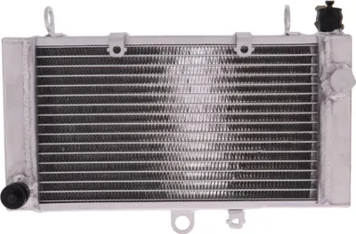 Imagen del producto de Radiador de agua JMP, modelo 2019040113, para Honda CBF