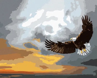 Produktbild von Zuty - Malen nach Zahlen - ADLER IM STURM (D. RUSTY RUST), 40x50 cm, mit Keilrahmen (bereits gespannt)