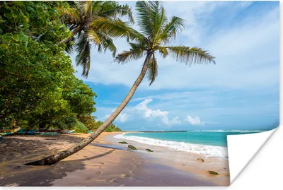Produktbild von MuchoWow® Poster Palme - Strand - Meer 180x120 cm - Fotoplakat