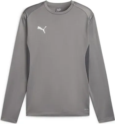 Produktbild von Puma Teamgoal Trainingssweat Herren - Grau