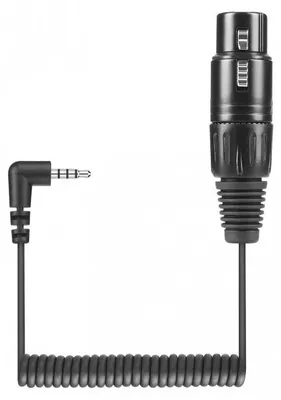 Image de Sennheiser KA 600 i, XLR (3 broches), femelle, 3.5mm, mâle, 0,4 m, noir