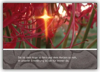 Produktbild von 4x Tröstende Trauerkarte mit Blumen: Sie ist dem Auge so fern und dem Herzen so nah…