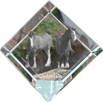 Imagen del producto de Clydesdale cubo de cristal con caballo Art-Dog
