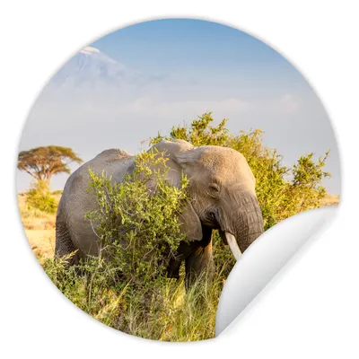 Produktbild von MuchoWow® Runde Wandtattoo - Wandsticker Tapete Aufkleber Elefant - Tiere - Gras - Grün - Berg Ø 80 cm Selbstklebend und Repositionierbar - Wandaufkleber - Kreis - Mauerkreis - Wand Bilder - Wandsticker - Wohnzimmer Dekoration - Dekoration für die Wände - Aluminium - Babyzimmer