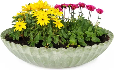 Productafbeelding van Ronde plantenbak, golfvormig, voor buiten, groen gemarmerd, 35 cm