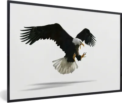 Produktbild von MuchoWow® Gerahmtes Poster Adler - Vogel - Weiß 60x40 cm - Poster mit Schwarzem Bilderrahmen Wandposter Rahmen Foto Bilder - Printing - Wanddeko Schlafzimmer