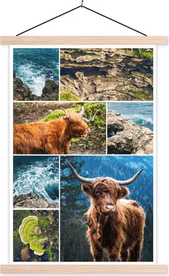 Produktbild von MuchoWow® Textilposter Schottisches Hochlandrind - Collage - Tiere 120x180 cm mit holzfarbenen Rahmen - Textil-Plakat