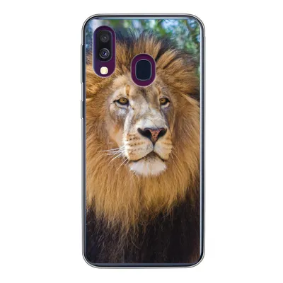 Produktbild von MuchoWow® Handyhülle Schutzhülle Hülle für Samsung Galaxy A40 Löwe - Natur - Tier Silikon Softcase Handy Hülle - Handy-Tasche