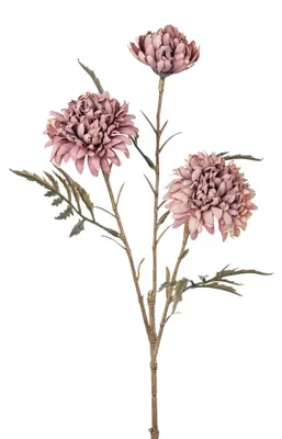 Produktbild von Kunstblume Trockenblume Tageteszweig, 40cm Studentenblume, lila