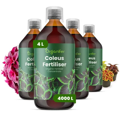 Produktbild von Coleus Flüssigdünger 4x1L – 3-4-3 NPK – Flüssigdünger Für Zierpflanzen – Für Blätter & Intensive Farben – Fördert Wurzeln & Vitalität – Organifer